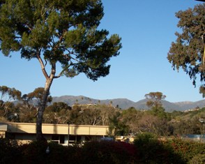 CA CA