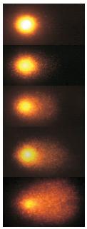 Comet DNA at different stages