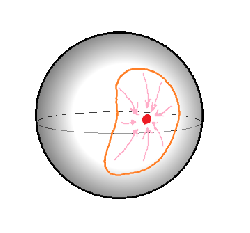 Loops can be contracted on a sphere