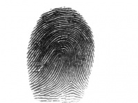 Fingerprint