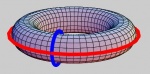 Torus.JPG