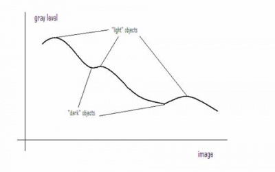 The gray level function of the original image.