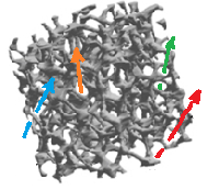 Complex 3d topology of a piece of foam